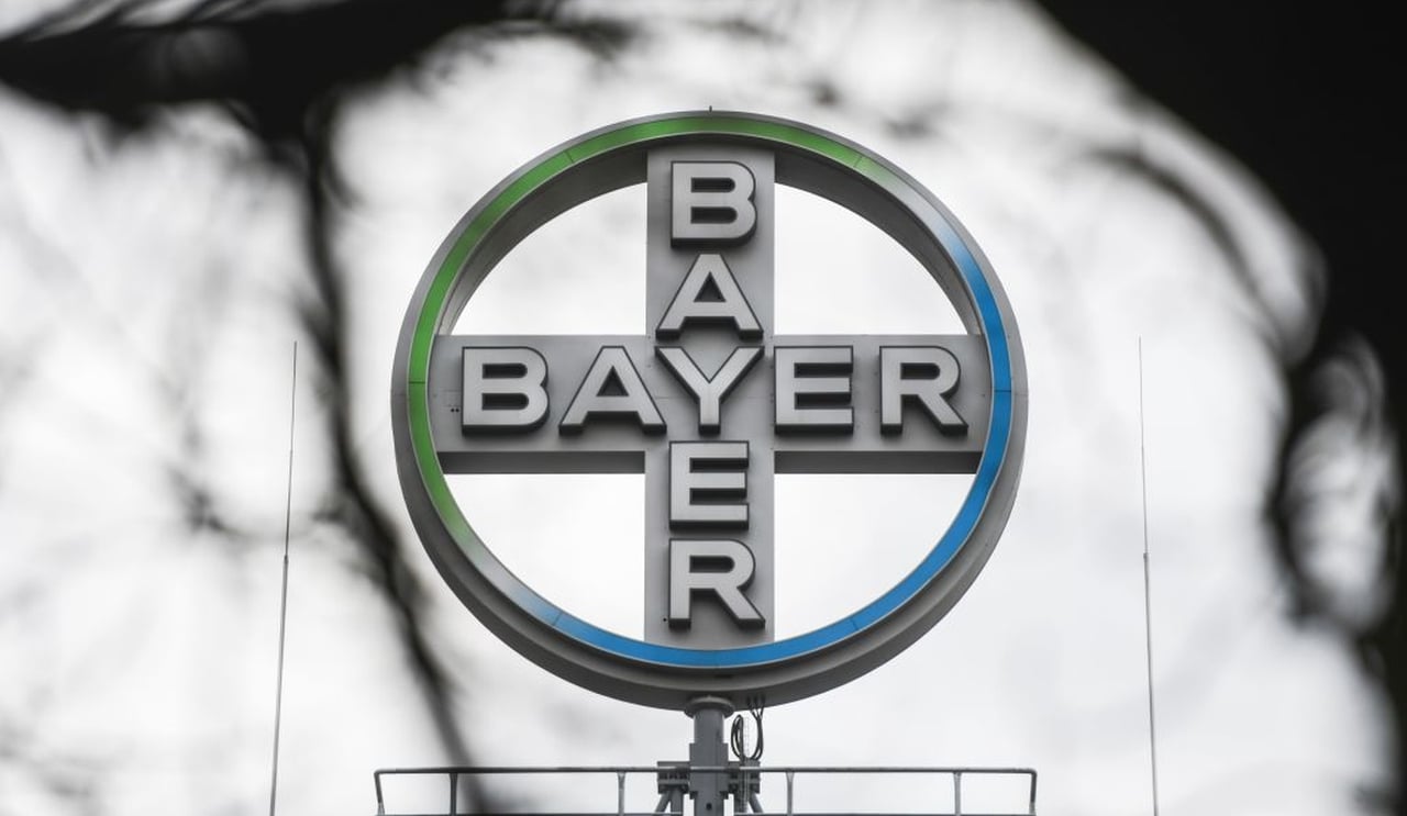 Bayer